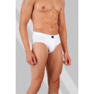 MANILA BRIEF IE